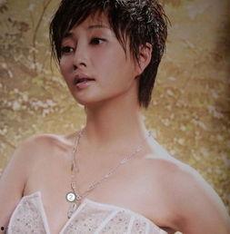 明星回应 文强,真相与反思